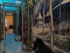 -北京动物园-畅观楼