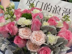 -溪岸路花鸟市场