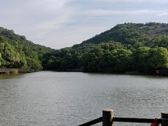 -白马涧龙池景区