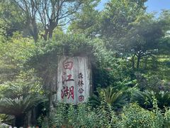 -广州白江湖森林公园