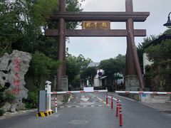 -龙井村