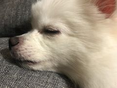 -佳雯宠物医院(金华南路分院)