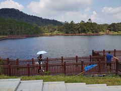 -海南热带雨林国家公园吊罗山景区