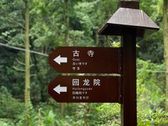 -凤栖山