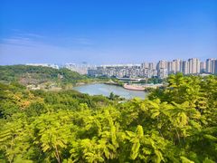 -飞凤山奥体公园