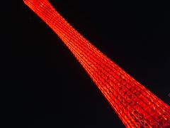 -珠江夜游广州塔·中大码头