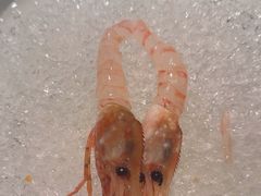 -上井料理黑金店(IFS国金中心店)