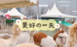 -萌宠亲子动物乐园(槐房万达店)