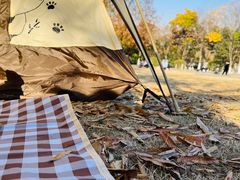 -南京市江宁方山