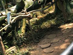 -无锡动物园·太湖欢乐园
