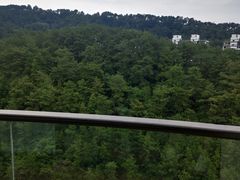 -千岛湖忆湖度假酒店(中心湖景区店)