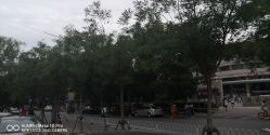 -北京妇产医院(东院)