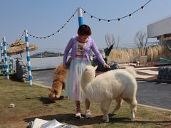 -Blue Concept Cafe&Farm·關於藍