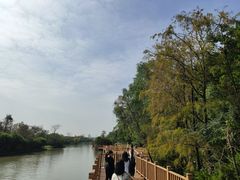 -大湾区中央湿地公园
