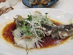 清蒸桂花鱼-顺德人家食府(黄金广场店)