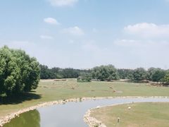 -北京麋鹿生态实验中心