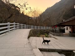 -石台牯牛降景区