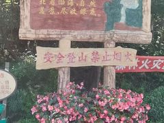 -金龙寺国家森林公园