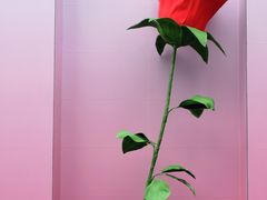 -汇腾天虹(吕厝店)