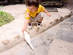 -太阳岛度假酒店