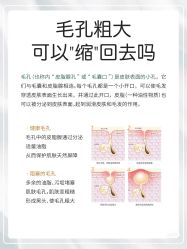 点击看大图 -玛莲朵·海菲秀冰珀科