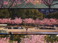 -新江湾城公园