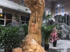 -兴芮温泉度假区