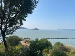 -上海市保健医疗中心