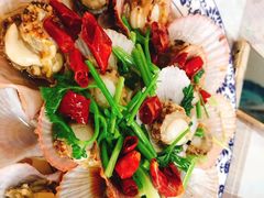 油泼扇贝-1937青岛老味道·青岛菜(大鲍岛栈桥店)