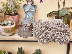 -花苑里咖啡(威远店)