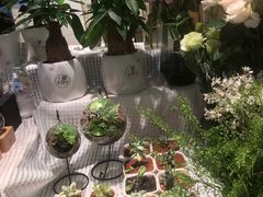 -谷莠子花艺·气球派对·绿植造景·花艺沙龙(金光华广场店)