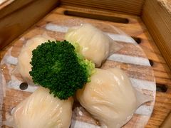 -锦粤宫·精致粤菜(阳西店)