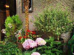 -思南公馆商业街