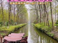 -合肥滨湖国家森林公园