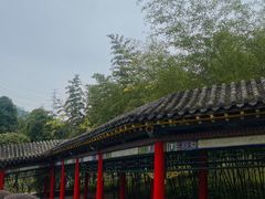 -重庆园博园