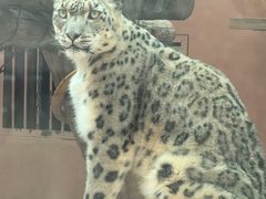 -青藏高原野生动物园
