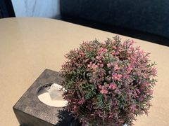 -铜锣湾·有麝自然香(长嘉汇购物公园店)