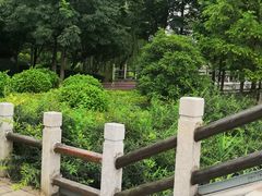 -尚贤河湿地
