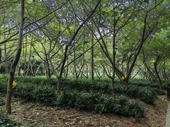 -九龙潭景区