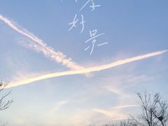 -东堤公园