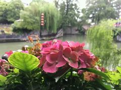 -南京夜泊秦淮君亭酒店·金陵书画院