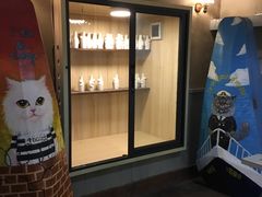 -猫咪博物馆(顶澳仔猫街店)
