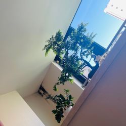 -珍贞佰俪·针清祛痘印敏感管理