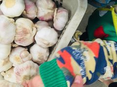 -上海浦南农副产品批发市场