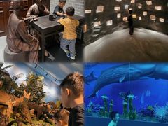 -广东中医药博物馆