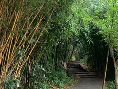 -缙云山景区