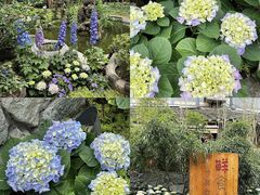 -田园印象·成都土菜院子(华阳店)