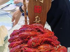 -丁老爷子苏香圆