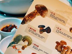 -爱膳菌锅锅(阳南店)