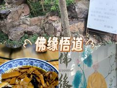 -西园寺素食(西园弄戒幢律寺店)